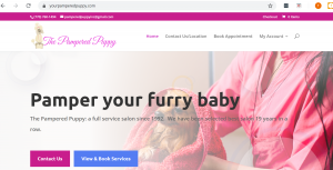 Solia Media Designs New Site for Best Dog Groomer in Conyers