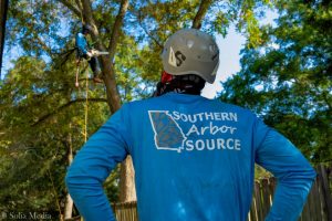 Southern Arbor Source - Best Tree Service Conyers, Covington, Oxford, Decatur, Rockdale, Newton